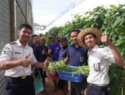 Panen 60 Kg Kacang Panjang, Lapas Banjarbaru Perkuat Kemandirian Pangan