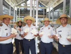 Lapas Banjarbaru Panen 1,5 Kg Jamur Tiram, Wujud Pembinaan Kemandirian Warga Binaan