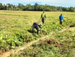 Babinsa Bergotong royong bersama warga desa membersihkan parit