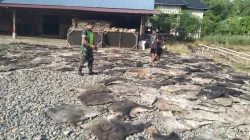 Babinsa Koramil 03/Delima Bantu Warga Jemur Kulit Sapi, Dukung UMKM Kerupuk Kulit di Desa Tanjun