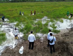 Ubah Lahan Idle Jadi Produktif, Rutan Pelaihari Siapkan Lahan Padi Lokal di Desa Pagatan Besar