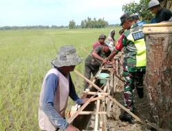 Babinsa Bersama Warga Bangun Irigasi Sawah, Wujud Kepedulian terhadap Ketahanan Pangan