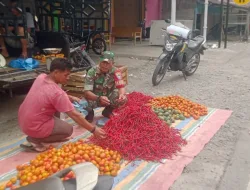 Pastikan Harga Cabai Stabil Dipasaran Babinsa Koramil 02/Seunagan Turun Langsung Ke Lapangan