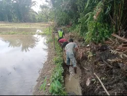 Babinsa Koramil 03/Senagan Timur Bantu Warga bersihkan Saluran Persawahan