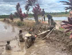 Satgas TMMD Kodim 0903/Bulungan Bantu Panen Ikan Milik Ibu Sumarnih