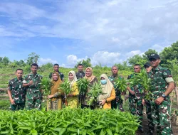 Hari-Hari Penuh Berkah, Prajurit Denma Brigif TP 31/PS Panen Sayuran Perdana Sambut Awal Ramadan