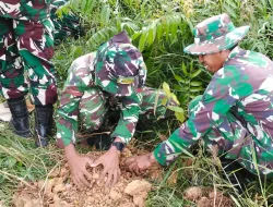 Wujud Nyata Kepedulian Terhadap Lingkungan, Satgas TMMD 127 Laksanakan Penanaman Pohon