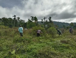 Babinsa Tangse Bersama Warga Gotong Royong Bersihkan Lahan untuk Pembangunan Koperasi Merah Putih