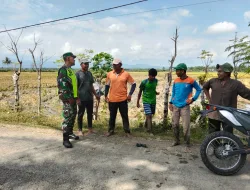 Babinsa Koramil 05/Indra Jaya Komsos dengan Petani Usai Panen, Perkuat Kedekatan dan Serap Aspirasi Warga