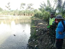 Terjalin keakraban Hubungan Yang baik kepada masyarakat Desa Binaan Babinsa di kolam ikan
