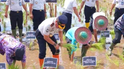Dukung Program Kemandirian Pangan, Rutan Pelaihari Gelar Penanaman Padi Perdana