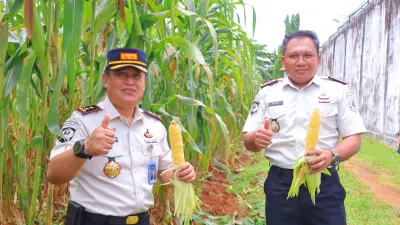 Panen Jagung Jadi Bukti Nyata Pembinaan Produktif di Rutan Pelaihari