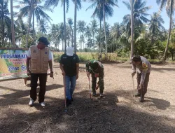 Sinergitas 3 Pilar, Tanam Jagung di Lahan Ketahanan Pangan Desa Bababinanga