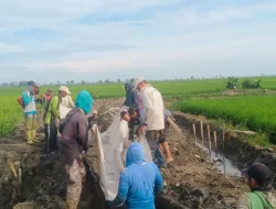 Babinsa Koramil 1404-02/Mattiro Sompe Bersama Petani Laksanakan Kerja Bakti Pembersihan Saluran Air