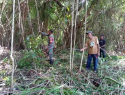 Babinsa Koramil 03/Teps Bantu Warga Olah Lahan Pertanian