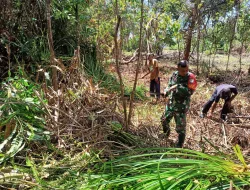 Babinsa Koramil 03/Teps Bantu Warga Olah Lahan Pertanian