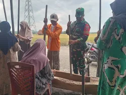 Dukung Petani, Babinsa Koramil 1404-03/Mattiro Bulu Hadiri Panen Padi Warga