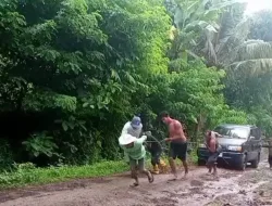 Kepala Dusun Nusantara Harapkan Pemerintah Daerah dan Pusat Segera Perbaiki Jalan yang Rusak Parah