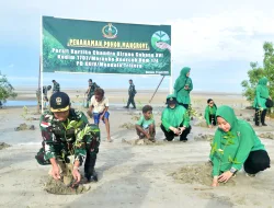 PEDULI KELESTARIAN LINGKUNGAN, PERSIT KODIM MERAUKE TANAM RATUSAN MANGROVE DI PANTAI PAYUM