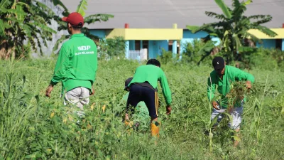 Panen Kacang Tanah di Kebun SAE, Bukti Nyata Rutan Pelaihari Dukung Kemandirian Pangan