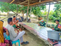 Babinsa Koramil 0907/01 Tartim Monitoring Pengubinan Padi Siap Panen di Mamburungan Timur