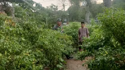 Babinsa Jalin komsos dengan pedagang ikan