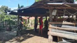 Cegah PMK, Babinsa Koramil 1404-06/Duampanua Dampingi Pemeriksaan Kesehatan Hewan Ternak