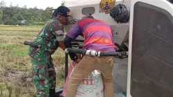 Babinsa Koramil 16/Tangse Turun ke Sawah, Bantu Petani Panen Padi di Desa Beungga