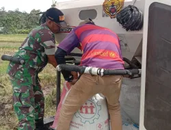 Babinsa Koramil 16/Tangse Turun ke Sawah, Bantu Petani Panen Padi di Desa Beungga