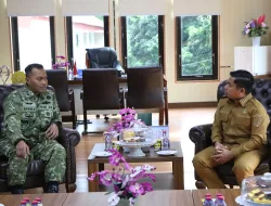 Dandim 1405/Parepare Silaturahmi dengan Wali Kota, Perkuat Sinergi dan Akselerasi Pembangunan KDKMP