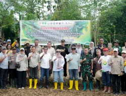 Dandim 1405/Parepare Hadiri Penanaman Jagung Hibrida JJUH 01 di Kabupaten Barru