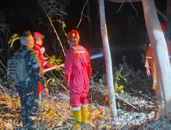 Gaspol Tangani Karhutla, Babinsa dan Damkar Padamkan Kebakaran 2 Hektare Lahan Bambu di Suppa