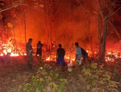 Gerak Cepat Kodim 1404/Pinrang Tangani Karhutla di Sejumlah Wilayah