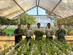 Produktifkan Lahan, Lapas Banjarbaru Panen 200 Netpot Seledri Hidroponik