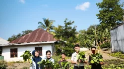 Panen Sayur Sawi, Lapas Wonreli Dorong Pembinaan Kemandirian yang Produktif