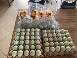 Dekatkan Hasil Pembinaan ke Masyarakat, Rutan Pelaihari Salurkan Telur Asin dan Kerupuk ke UMKM Lokal