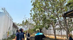 Lapas Banjarbaru Optimalkan Lahan Pertanian, Panen 32 Kg Alpukat untuk Dukung Ketahanan Pangan