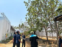 Lapas Banjarbaru Optimalkan Lahan Pertanian, Panen 32 Kg Alpukat untuk Dukung Ketahanan Pangan